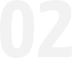 Image module
